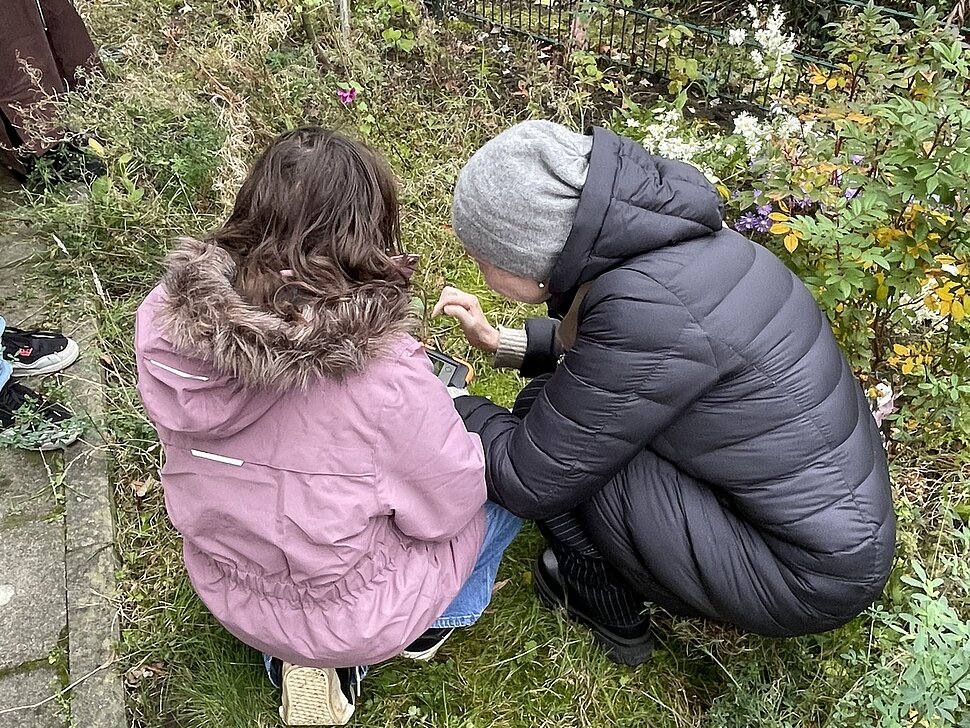 Kinder entdecken und erforschen Pflanzen in ihrem Quartier