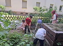 Schrebergarten-Bienenreich_WGD Mitte_2026 Urbarmachung des Geländes