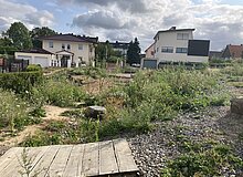 Dr.Lammert-Weg Natuerfahrungsfläche