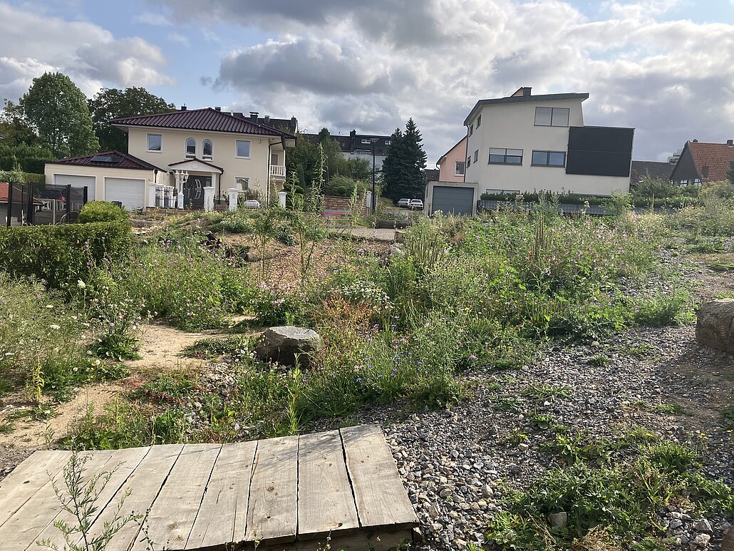 Dr.Lammert-Weg Natuerfahrungsfläche