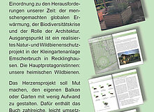 Rückseite Buchflyer