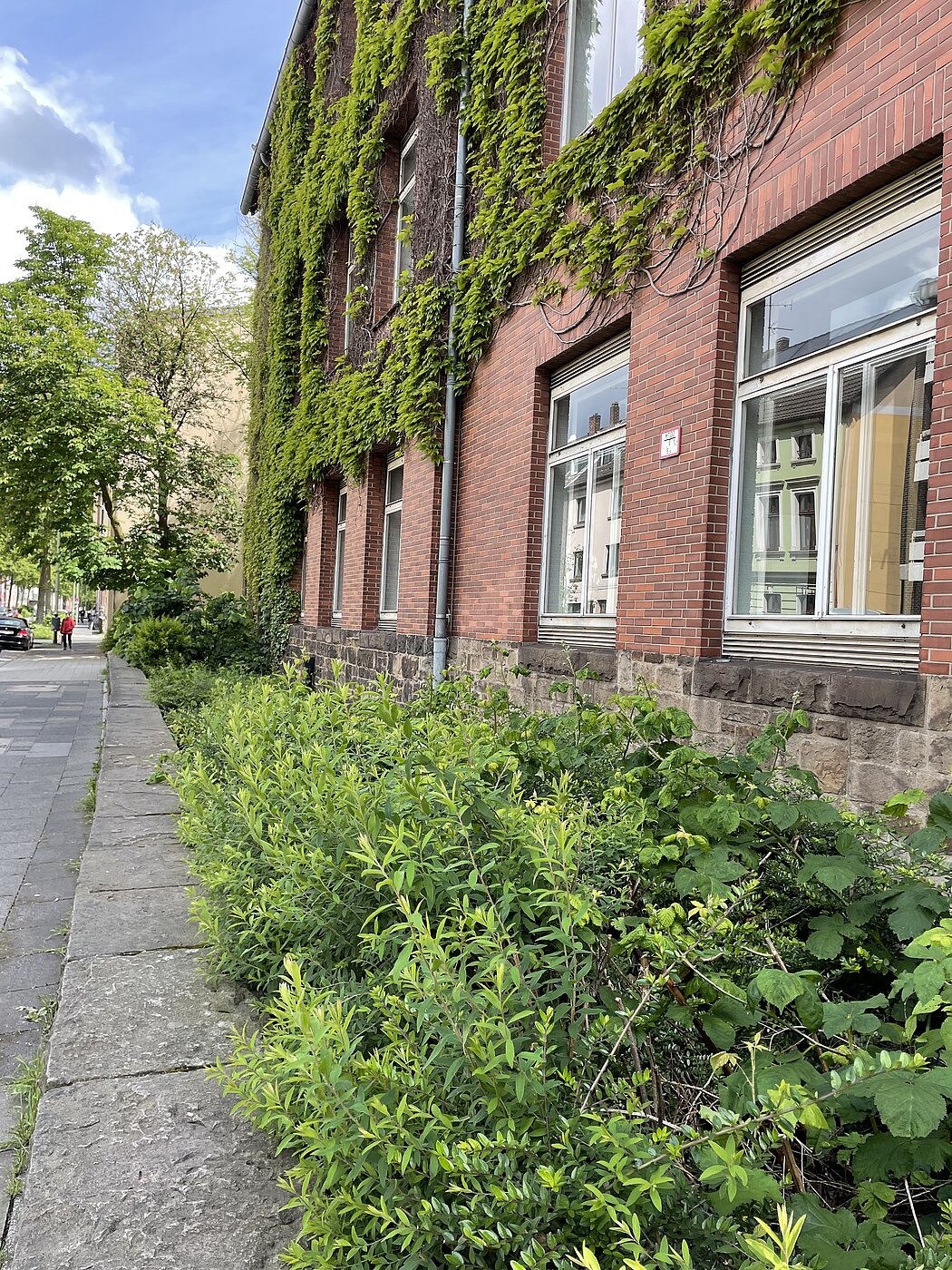 Vorgarten mit Entwicklungspotenzial 