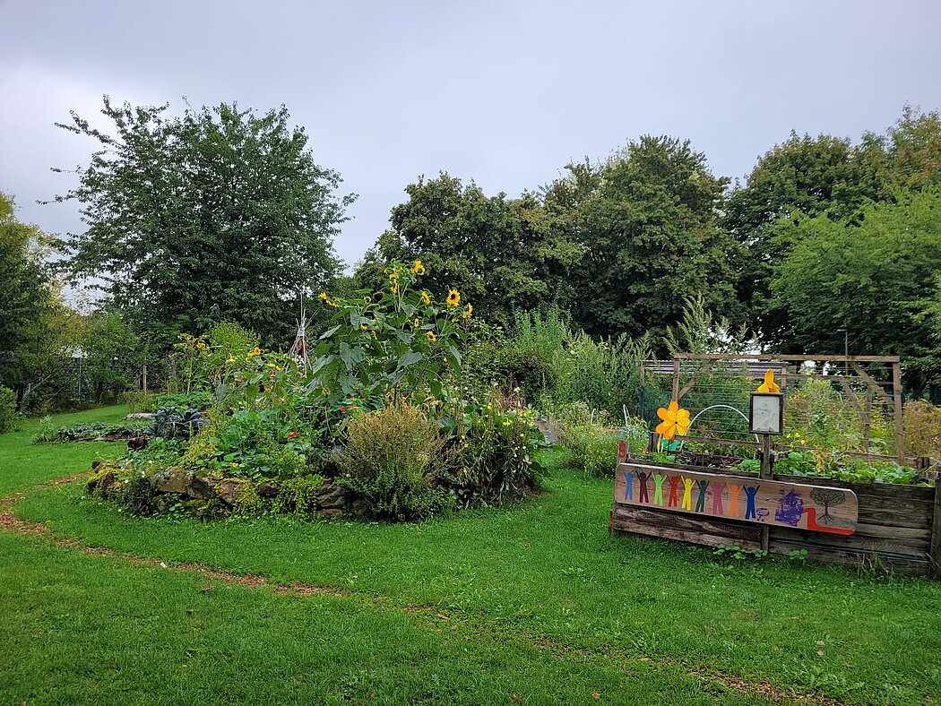 VestGarten der Garten im Spätsommer