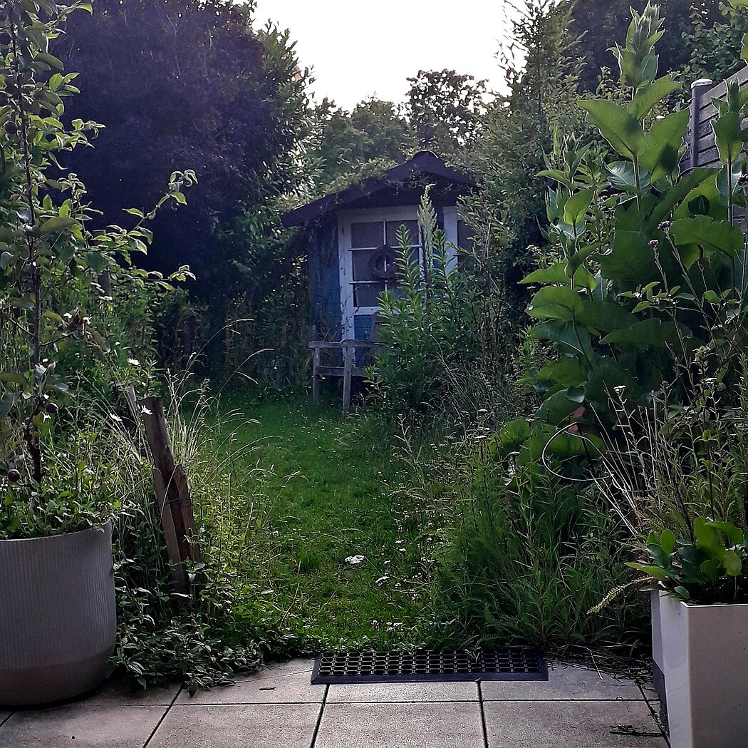 Blick in einen kleinen Garten, rechts und links ungemähte Ränder mit Wildblüten