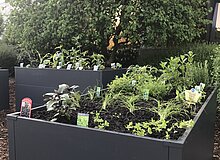 Hochbeete vorm Verwaltungsgebäude