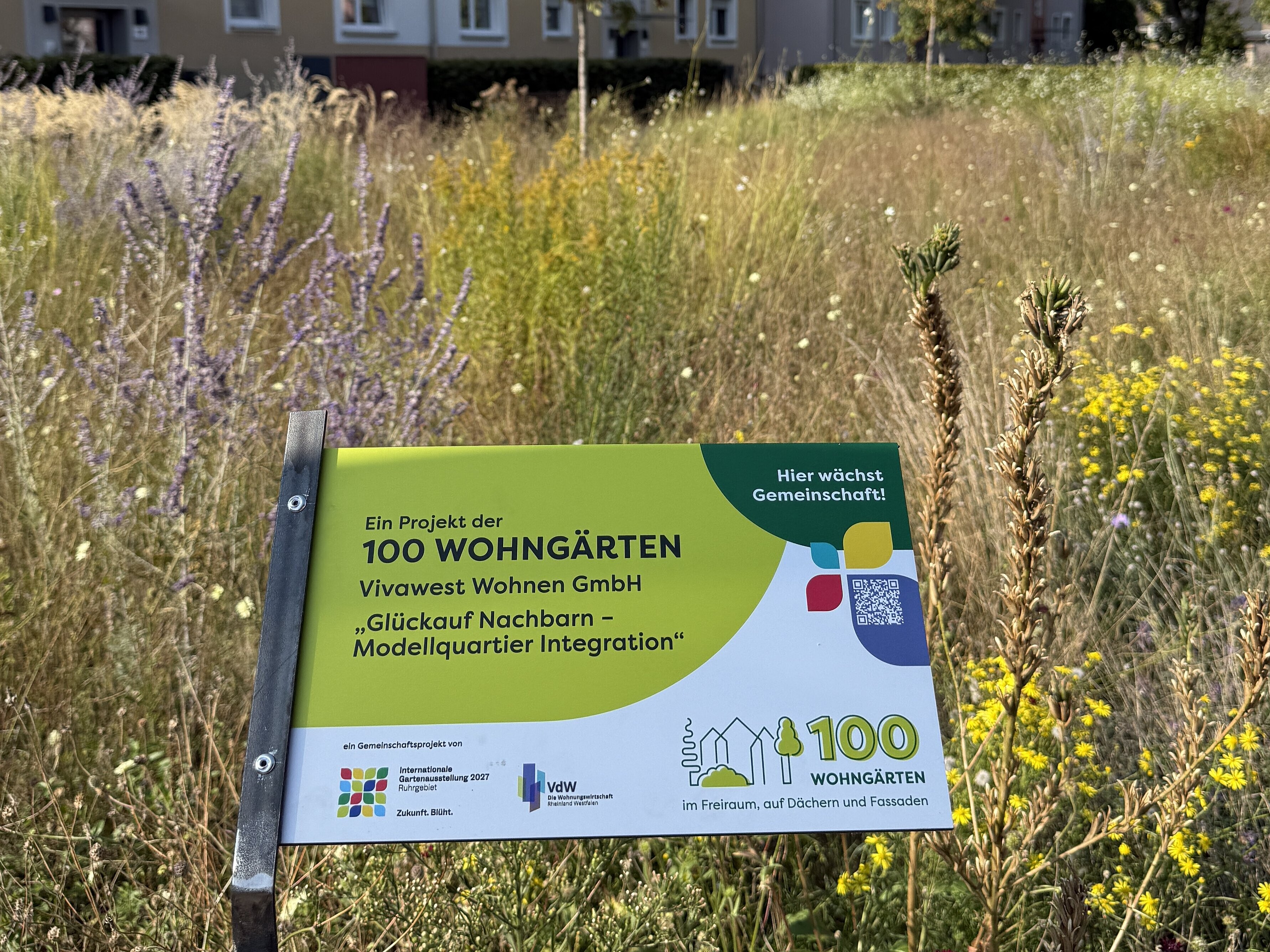 250929 Bereisung 100W Bereisung "100 Wohngärten" Projekte im September 2025