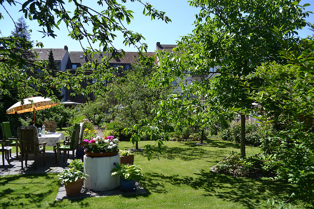 Blick in den Garten 