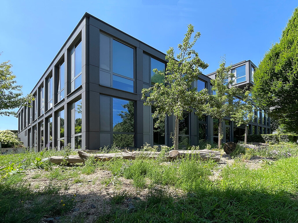 BlueOffice_SSP AG_Südseite Naturnahe Freianlagengestaltung auf der Südseite