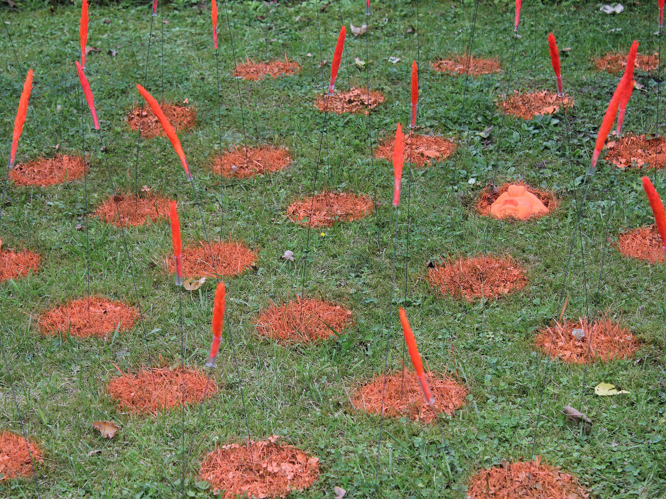 Installation bei der Freiluftausstellung KunstRasen 2018