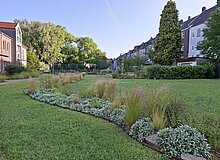 Für Anwohner*innen nutzbare Grünfläche inmitten von Wohnbebauung mit Blumenstreifen