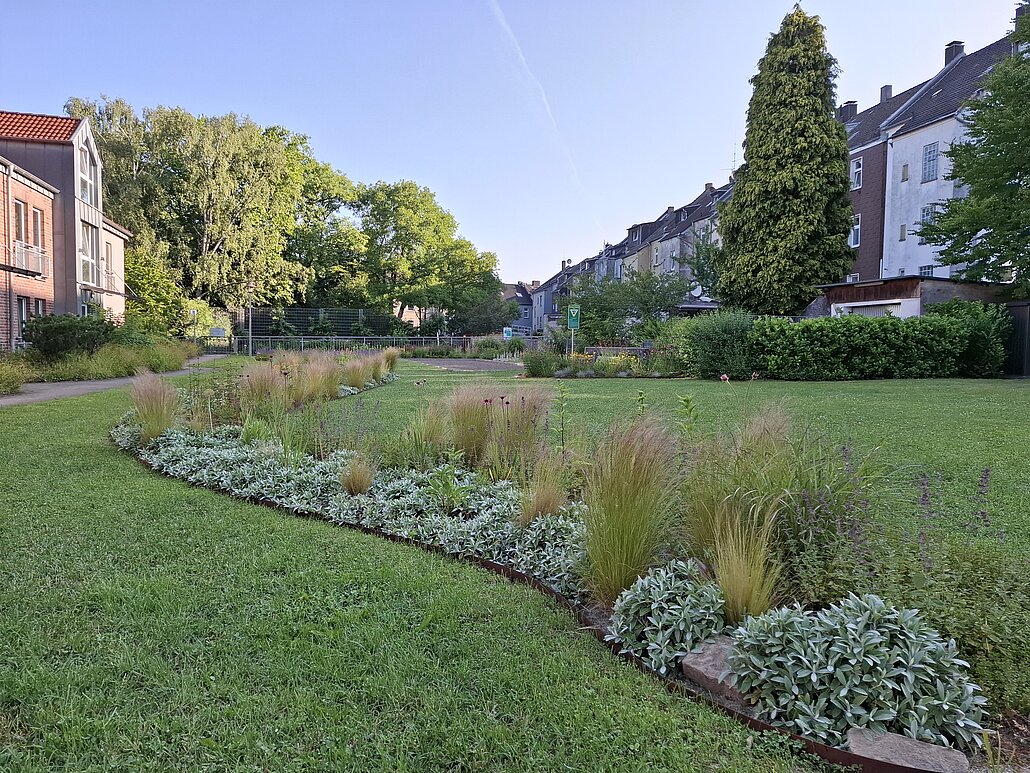 Für Anwohner*innen nutzbare Grünfläche inmitten von Wohnbebauung mit Blumenstreifen