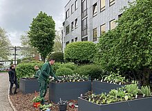 Hochbeete vorm Verwaltungsgebäude