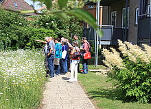 Wildwiese, Gruppe, Menschen