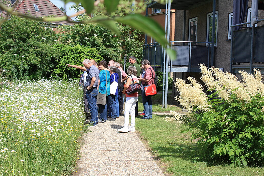 Wildwiese, Gruppe, Menschen