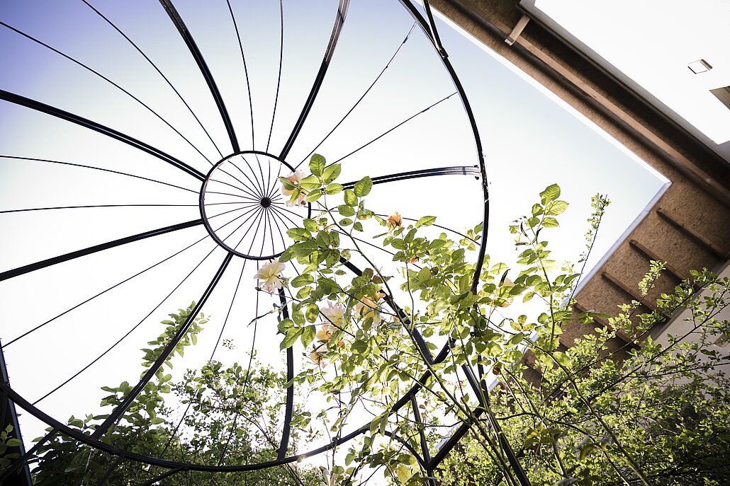 Rosenpavillion, Stütze für Kletterrosen
