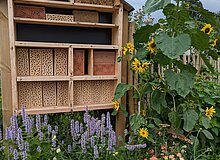 Insektenhotel im Garten von St. Bernardin