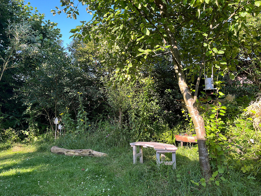 man blickt auf Saumbeete vor einer Hecke mit kleiner Sitzgelegenheit unter einem Apfelbaum