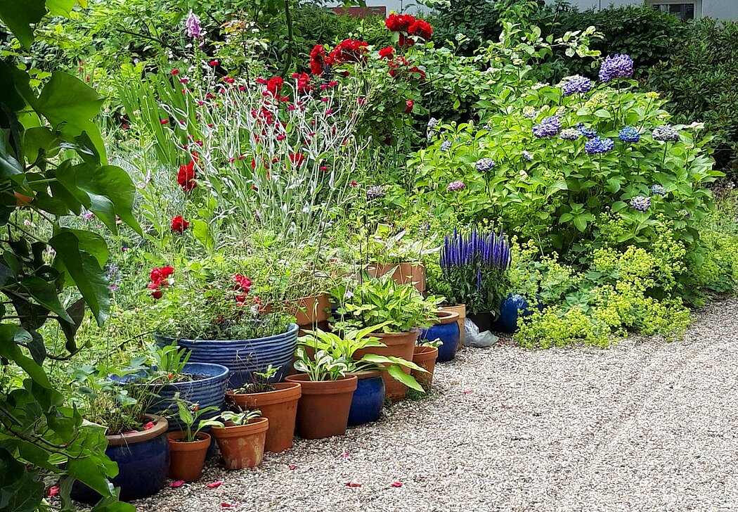 Töpfe im Garten