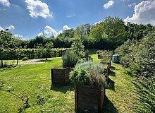 Hochbeete im Genossenschaftsgarten Hochbeete im Genossenschaftsgarten