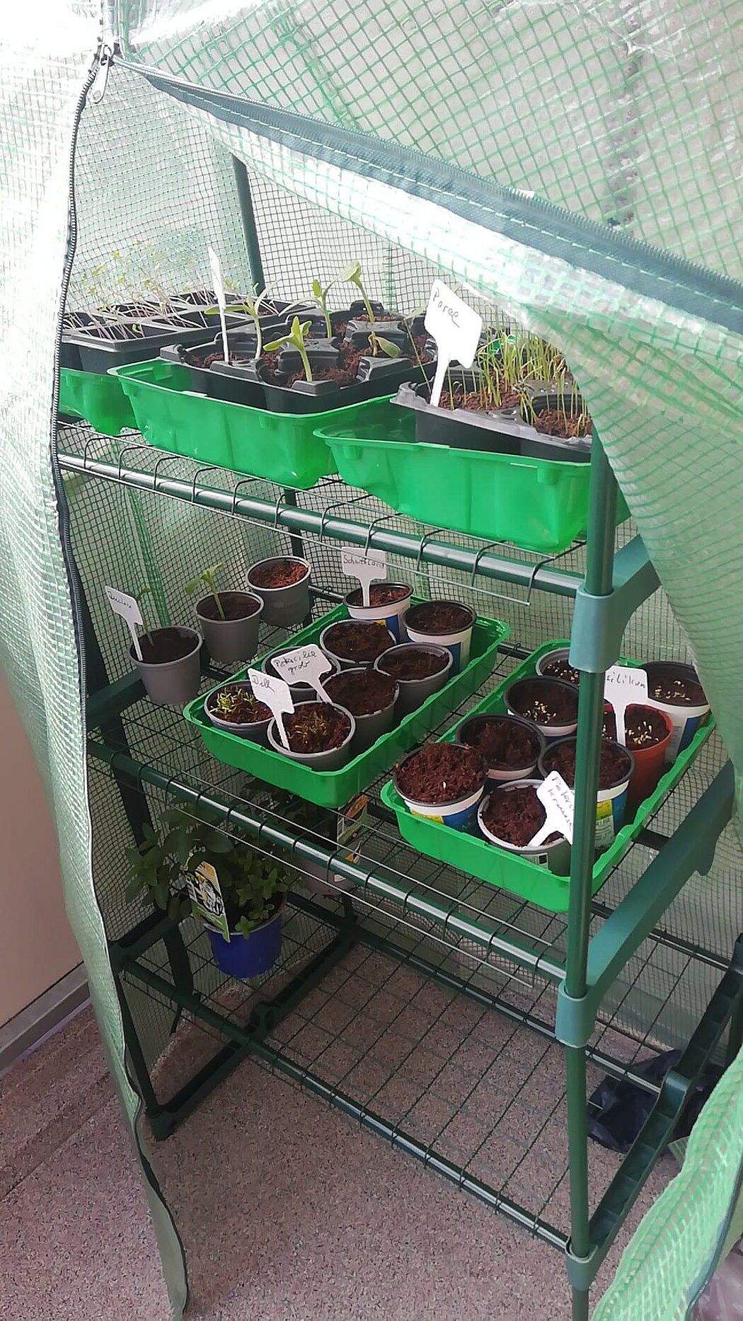 GartenMissundehof_Dortmund_SchleswigerVierteleV Anzucht von Pflanzen im Gewächshaus