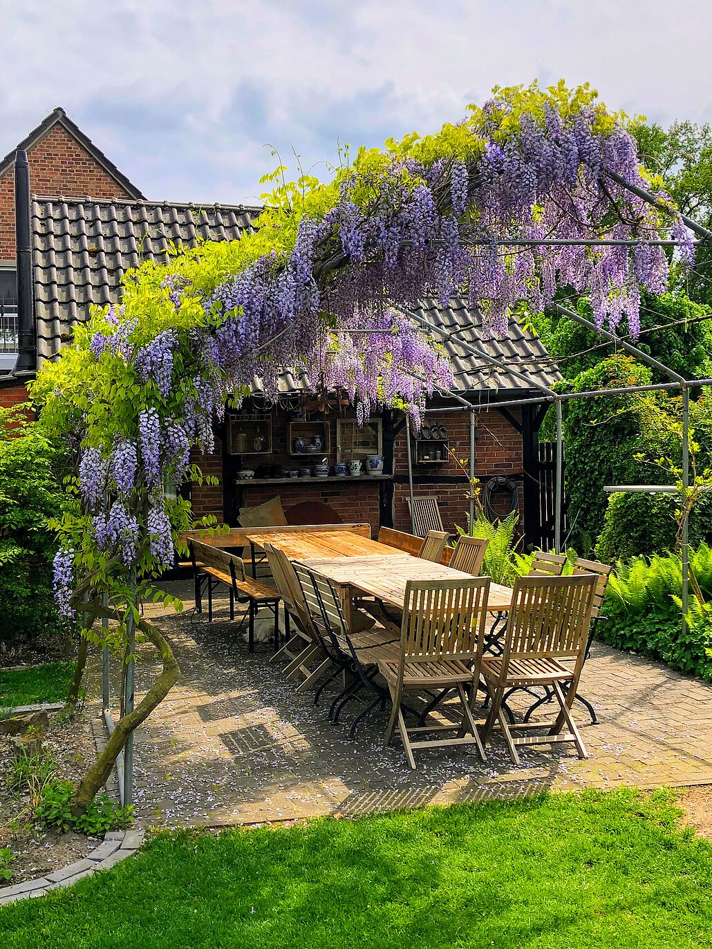 Landleben op de Kuhle, Dorsten, C. Schumann, 2025 Terrasse mit Blauregen