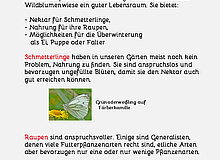 Präsentationsposter