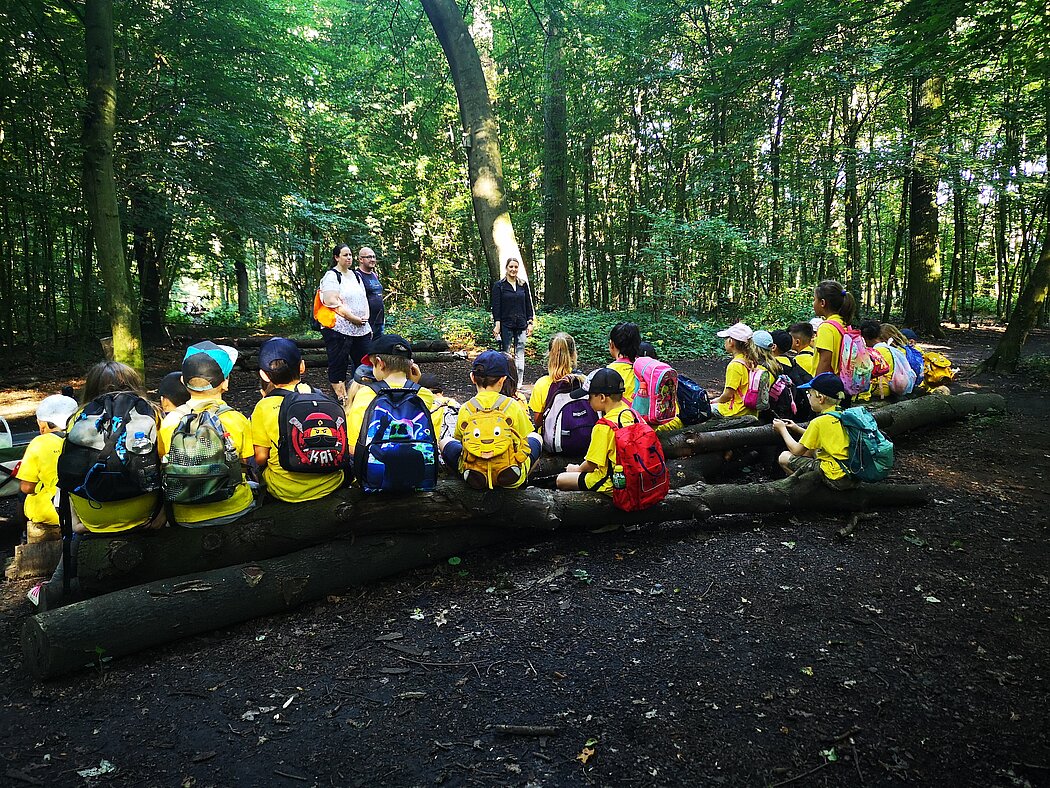 Grünes Klassenzimmer Duisburg Eine Schulklasse im Grünen Klassenzimmer in einem deutschen Mischwald. Die Kinder sind von hinten auf einem Baumstamm sitzend fotografiert