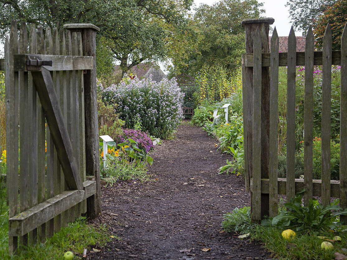 Wooden fence with an open gate and a footpath leading in a cottage garden