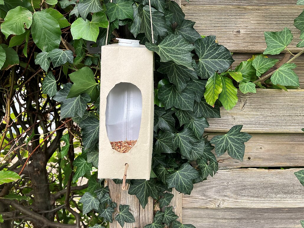 Vogelfutterstelle Im Vordergrund ist ein Tetrapack zu sehen, aus dem eine Vogelfutterstelle gebastelt wurde. Diese hängt an einer Sichtschutzwand und ist mit Vogelfutter befüllt. Im Hintergrund ist Efeu und eine Hecke zu sehen.