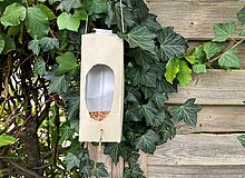 Vogelfutterstelle Im Vordergrund ist ein Tetrapack zu sehen, aus dem eine Vogelfutterstelle gebastelt wurde. Diese hängt an einer Sichtschutzwand und ist mit Vogelfutter befüllt. Im Hintergrund ist Efeu und eine Hecke zu sehen.