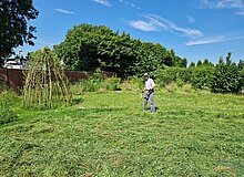Horster Blütendreieck Wir mähen die Wiese zweimal im Jahr mit der Sense