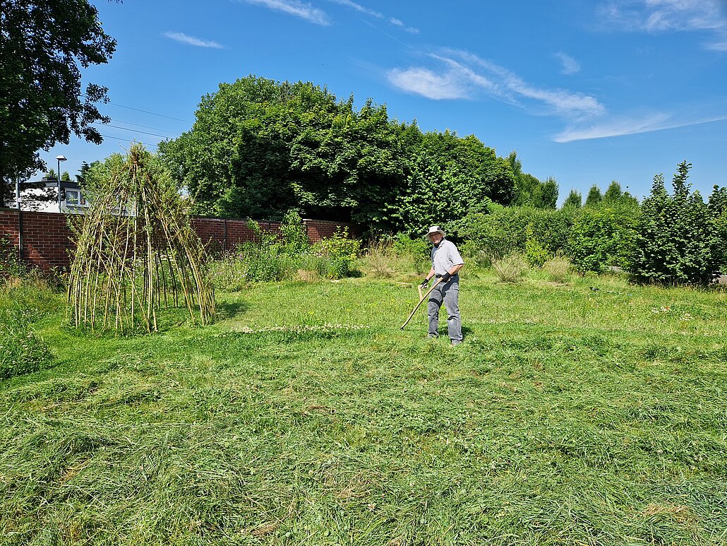 Horster Blütendreieck Wir mähen die Wiese zweimal im Jahr mit der Sense