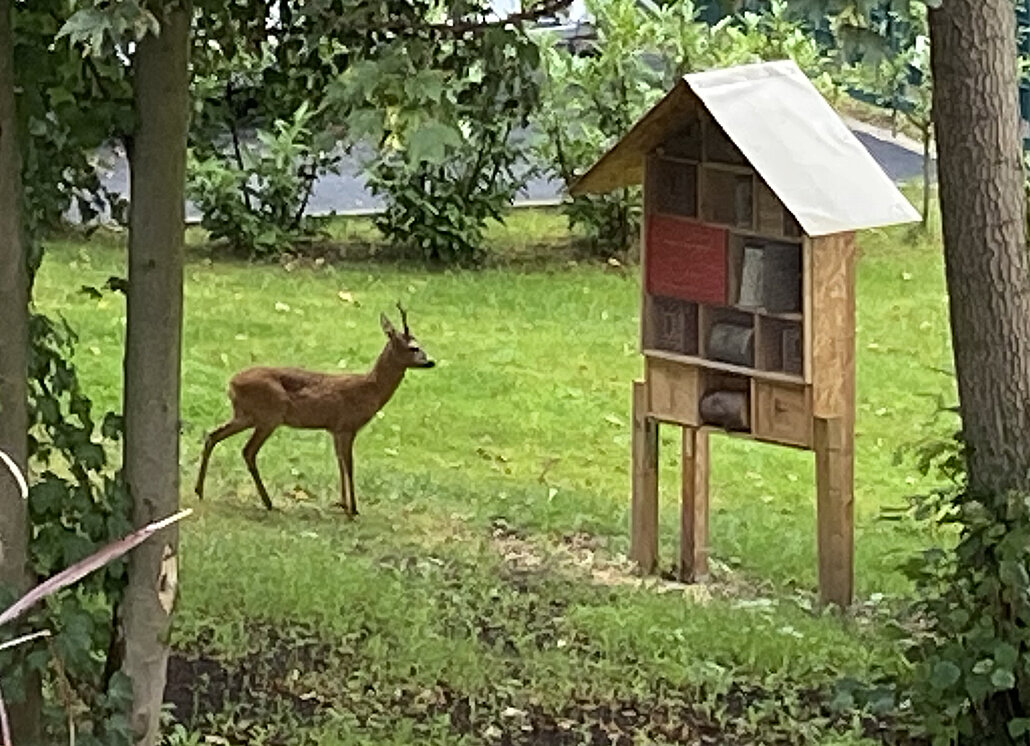 Garten08-Mache-Stiftung