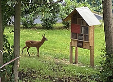 Garten08-Mache-Stiftung