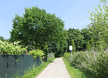 Biodiversitätsinsel Hestermanngebiet Recklinghausen Eingangsbereich