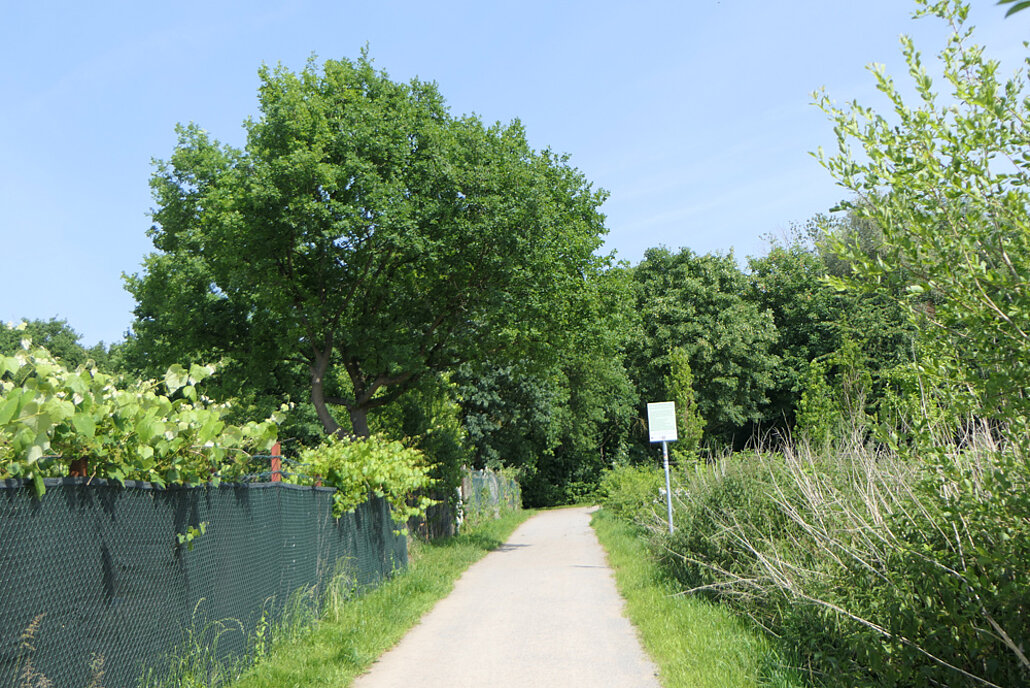 Biodiversitätsinsel Hestermanngebiet Recklinghausen Eingangsbereich