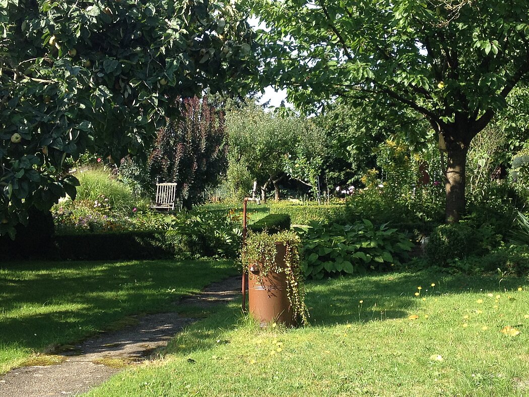 Testprojekt Anna_Bochum_Anna Schwab_2025 Gartenblick mit Wiese und Bäumen