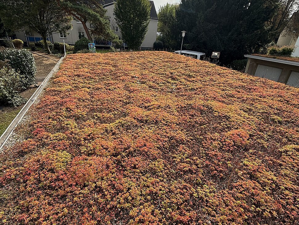 Bereisung "100 Wohngärten" Projekte im September 2025