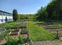 Das Fotot zeigt den Blick aus dem Bauwagen über den Garten im April 2025