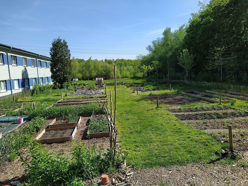 Das Fotot zeigt den Blick aus dem Bauwagen über den Garten im April 2025