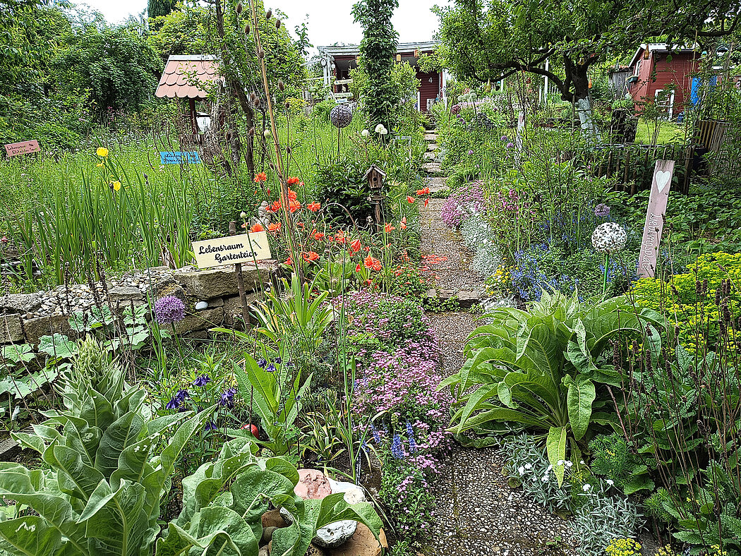 Der Hauptweg des Gartens mit Blick auf den Gartenteich und verschiedenen heimischen Pflanzen