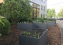 Hochbeete vorm Verwaltungsgebäude