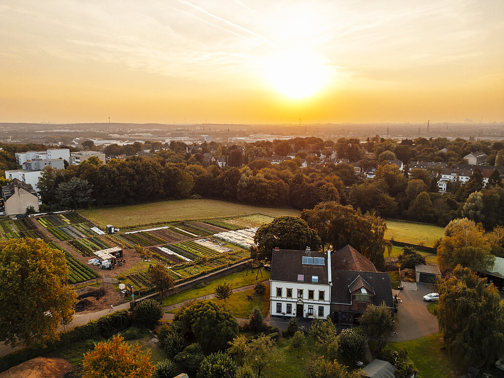 Die Drohnenaufnahme zeigt den Eumannshof und den Solawi-Acker von oben im Sonnenuntergang.