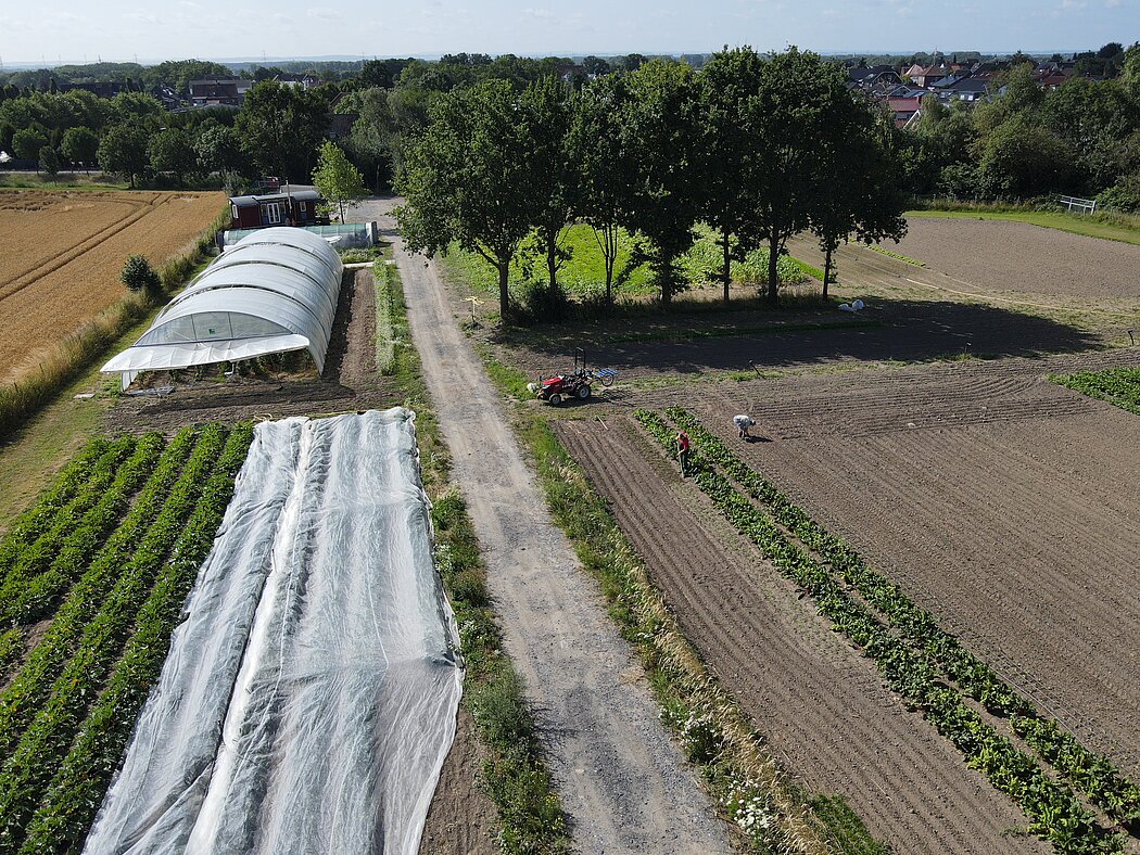 Unser Folientunnel und die Beete im Freiland für das Gemüse.