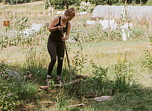 Frau, die mit Grabegabel im Beet steht und eine Hecke pflanzt