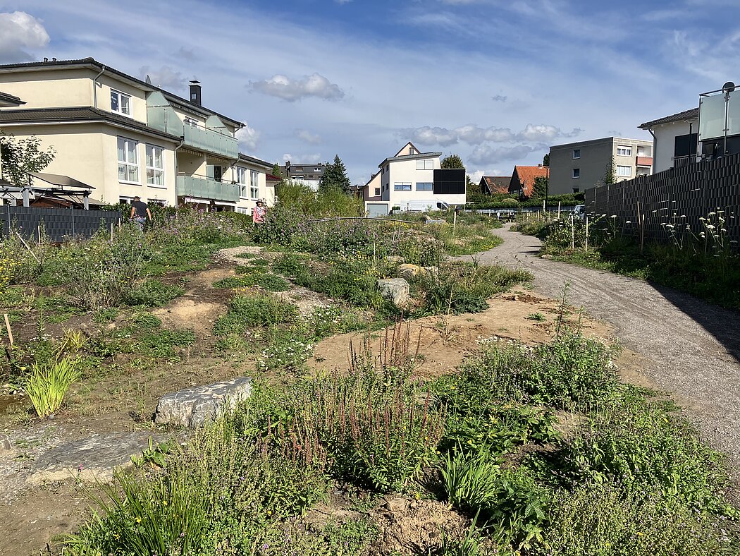 Dr. Lammert-Weg Naturerfahrungsfläche