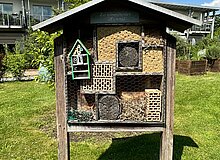 Insektenhotel im Genossenschaftsgarten Insektenhotel im Genossenschaftsgarten