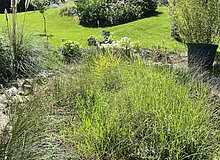 Garten06-Mache-Stiftung