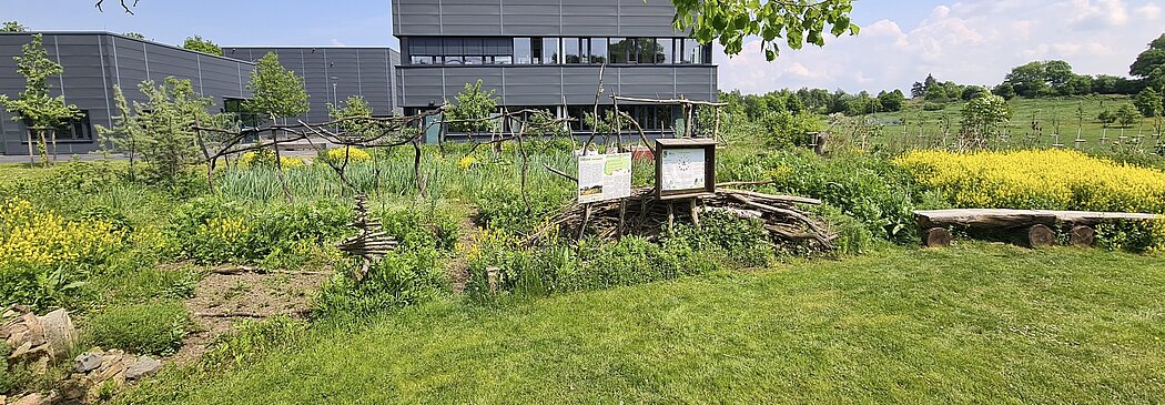 Auf dem Bild sind verschiedene Elemente der Permakultur in unserem Hochschulgarten zu sehen - beispielsweise einige Beete und eine Trockenhecke.