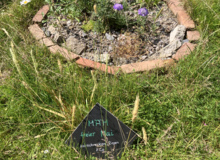 Aktion "Mähfreier Mai" mit Kalkschotterbeet